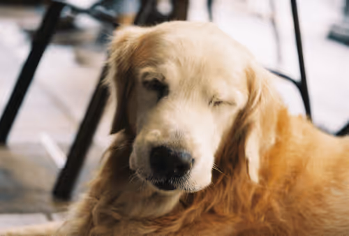 Item #39766039349114458834962057637535056271367696175968087579852078358618894761989 Media