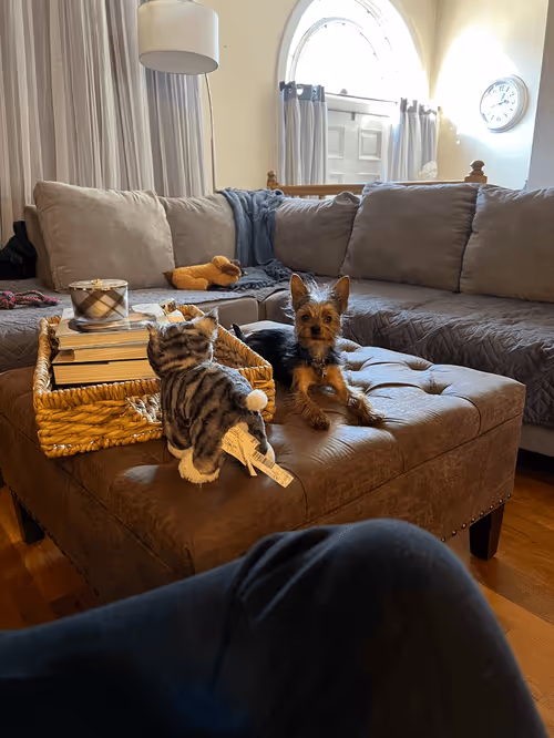 Item #88066140528539479869456014744410398514327997074780151392509103649835637014529 Media