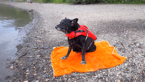 Untitled Collection #62156171