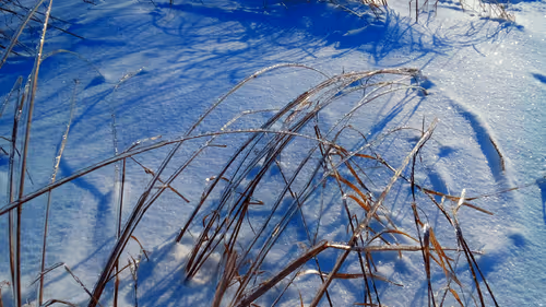 Item #55297223282317197917185791022658401724226762533250968792427961465264815472641 Media