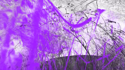 Item #20693267334912880907715145794957228578603880121500115733238892701115196899329 Media