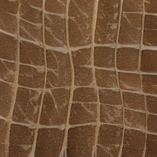 Item #58241160855422744817468407088196322100109565521561100950236907408460831784961 Media