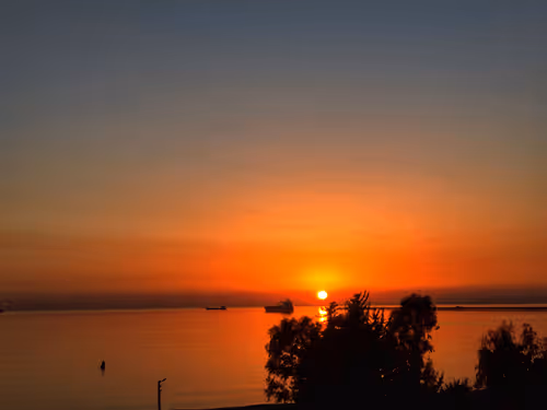 Item #66820219221198918858103330238748166887962299943803224281381121421569440088065 Media