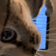 49167216801409805728721591964271699650740819877158130509014270415826805850113