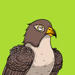 11538255180231465227692626853838225494553623514996908007785703228578006564865