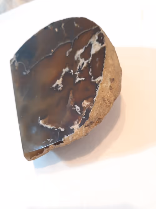 Item #26409782478920172212075597278062749897568846616851332060012248125526148907009 Media