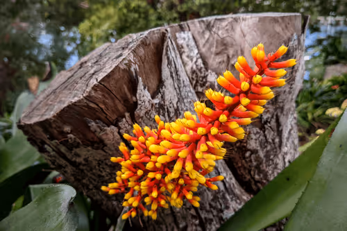 Item #39075669952795110311488058078452160275975432518977374571902800615716251762689 Media