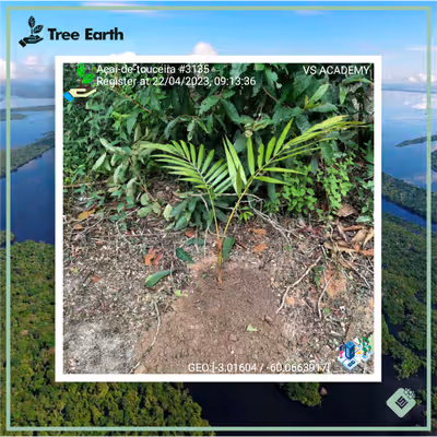 Item #8500196597889277390194123329501889087166328879864934763448349314098499944449 Media