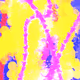 15929693056096619736846231315144712551400991138685767304460296607332766318617