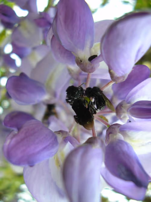 Item #39083204805328424226701303183852423297820358451573401344036649746372348608513 Media