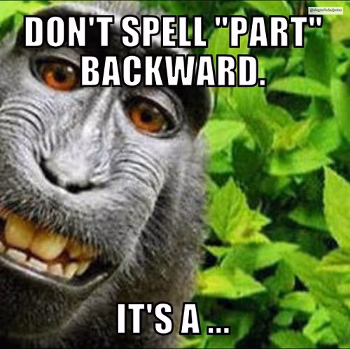 Item #50019202249894892371434277918318181364623497082798944916930856384154667319297 Media