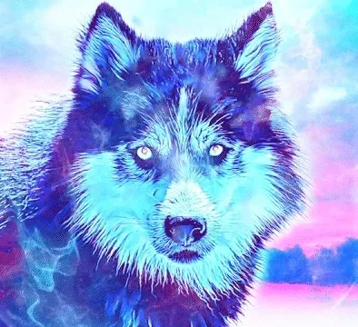 Item #54658049979898971032355539673876588794277822125732617114510633461967952543794 Media