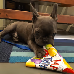 99031261785432219130552668818269695456905868997165113515571762309355626561537