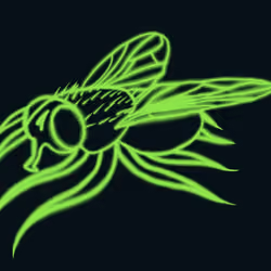Squid Fly #17
