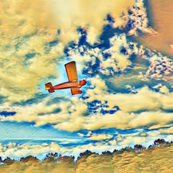 Plane in the Sky 013