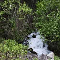 Hidden Mountain Creek