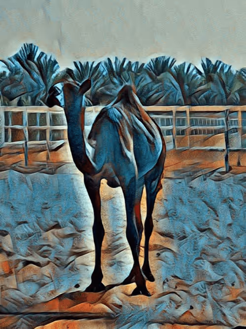 Item #36782780807699903135038144501557320909410292895804866127374726089712028614657 Media