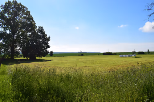 Item #25048395052866519615583306303043483840076282884633851044387431717978595393537 Media