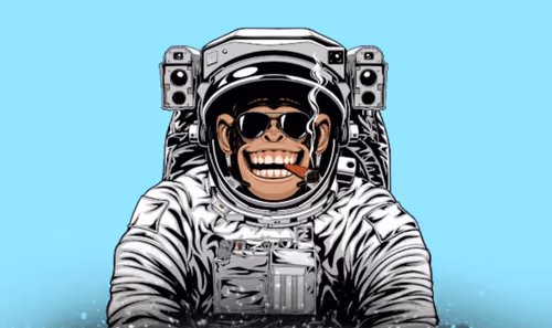Monkey Astronaut 