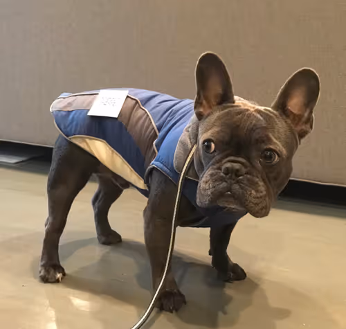 99031261785432219130552668818269695456905868997165113515571762519362347466753