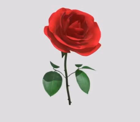 Item #100262124572566525573367938084035457828346644420986853040479781482798554021898 Media