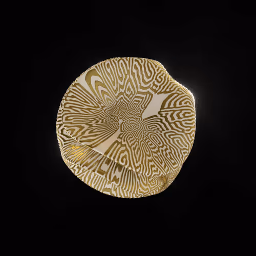 Item #83535453821146316306178013320250520096293247508023240542449518978204054847489 Media