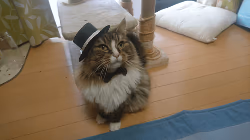 Item #88680272721371285934501562988049178859599418492822572919113237415781635981313 Media