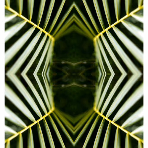 43460632666851788509926658809228942644506618275693919397643606299936974438401