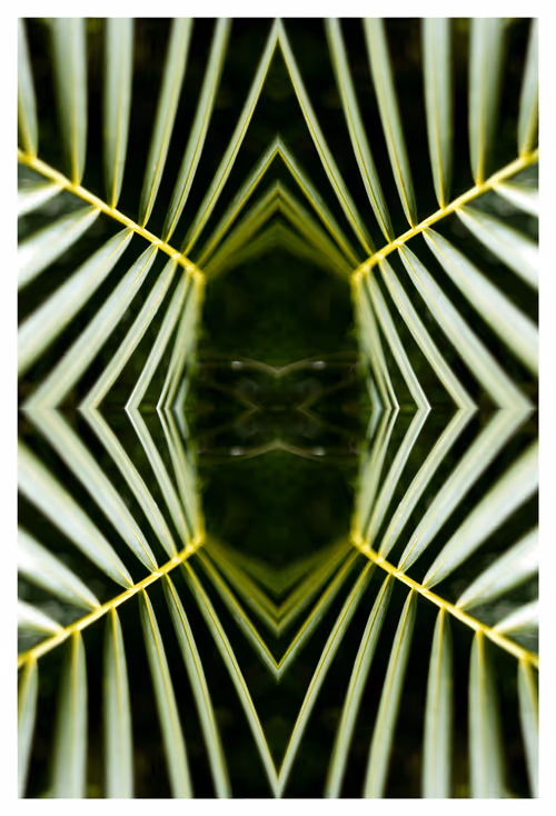 Item #43460632666851788509926658809228942644506618275693919397643606299936974438401 Media