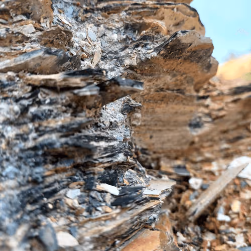 Item #32708508987210996203505439108186848896243903998336501445034175490335208112129 Media