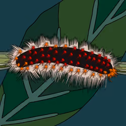 Caterpillar 007