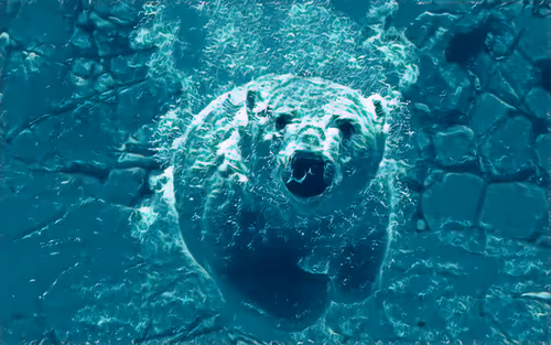 Item #74388721199083954673298778298232823886096642493620239959546432264250100547585 Media