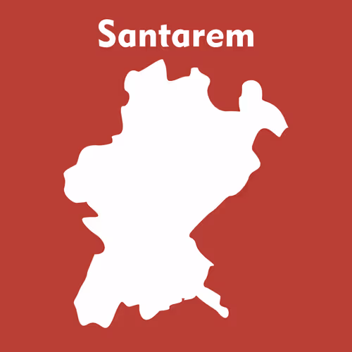 Item #53594356007989535792850162458107501771688790401863407050360661578688267026437 Media