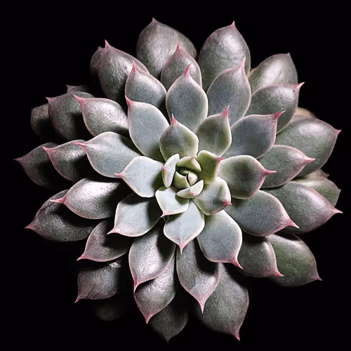 Item #26557395527935103024156889985671342145765592674552831961938483947936652722181 Media