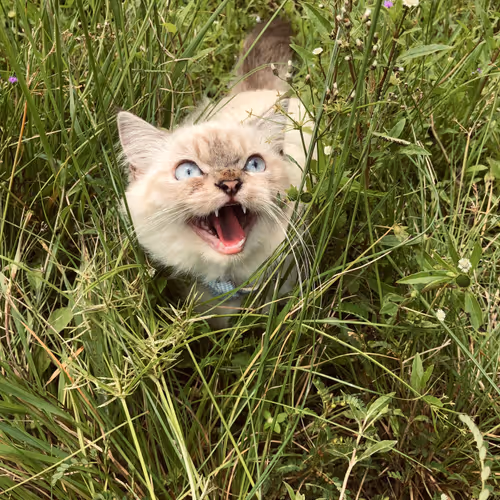 113108123893781287193638742201143473737808108693062803138143660133054767169537