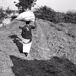 the working women.
