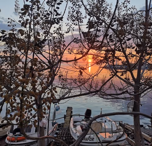 Untitled Collection #89980000