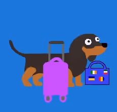 Item #33268133923305048307001989173859425603138967809113562951523574024453182455809 Media