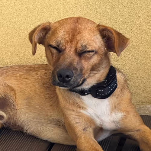 Untitled Collection #89087100