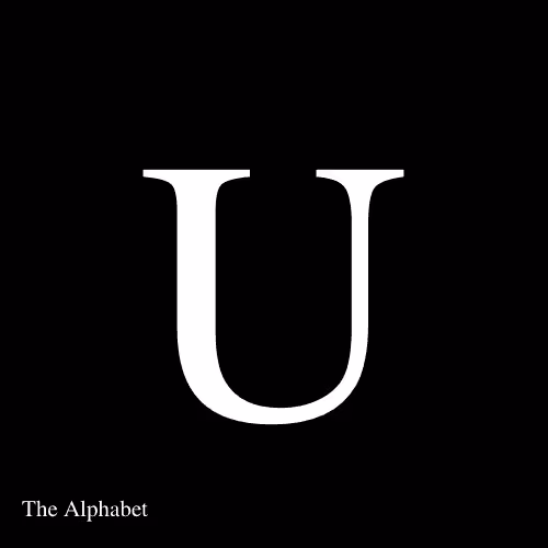 Item #15667918565991512040027370799027687282016869594247132407079641293683265896458 Media