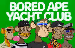 Bored Apes Yatch Club