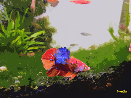 Item #74464285102539120175525880978246253166996374944805974491567127465619286392833 Media