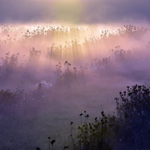 Item #8874138315545109850187425440264752860309614107716605274840158611799453728783 Media