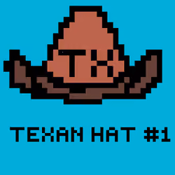 TEXAN HAT #1
