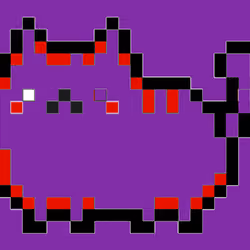 block cat