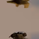 107661232425327740906762007364478422558588861667053094302805196253007729131521