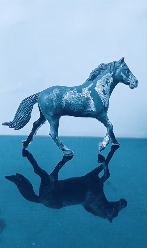 Item #83744598943058006340923454314792856147466055480968082310663932178830385479681 Media