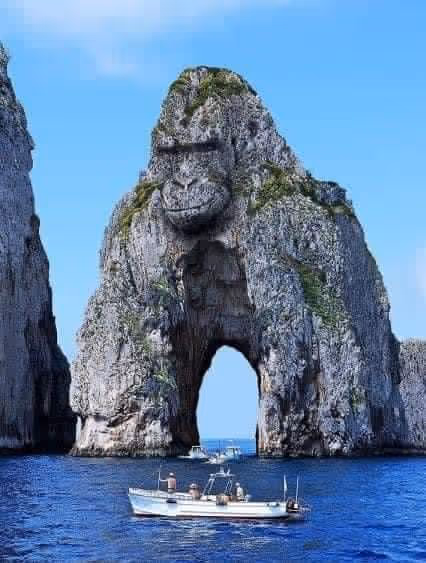 Item #20226706249726776525428191455886431498635457602595759415367434974715896135681 Media