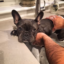 99031261785432219130552668818269695456905868997165113515571762424804347478017