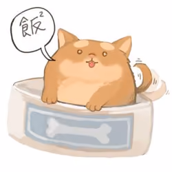 Rice!